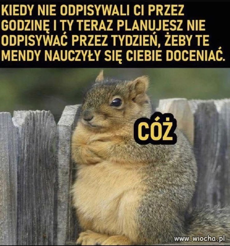 Teraz będziecie wszyscy cierpieć