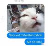 Kot zabrał telefon