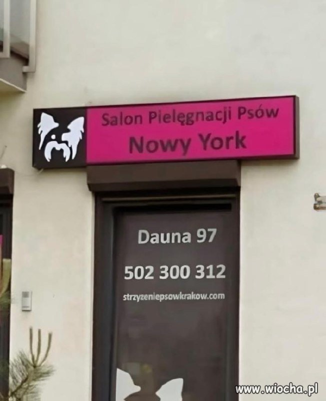 Salon Pielęgnacji Psów