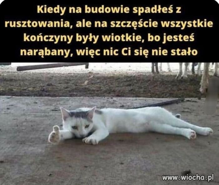 Po szklenie i na rusztowanie 