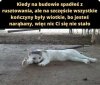 Po szklenie i na rusztowanie 