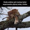Nie wiem kto jest kim na tym zdjęciu