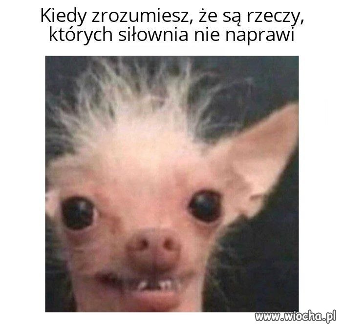 Niestety