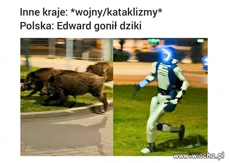 Polska w swoim własnym świecie