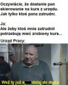 Ale potrzebuję i zatrudnienia, i kursu