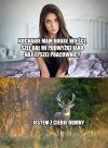 ...no to dobranoc, boli mnie głowa...