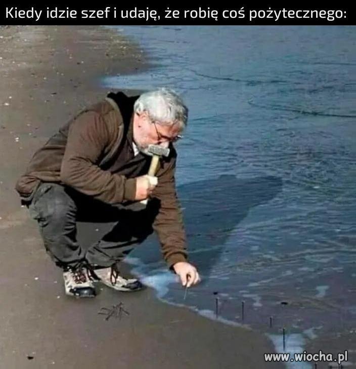 Pracownik miesiąca