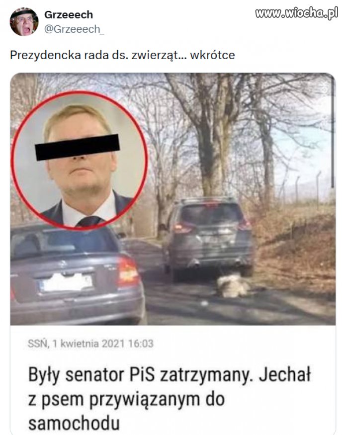 Kandydat w sam raz; pasuje jak ulał, c'nie?