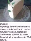 Baranki świąteczne z masła
