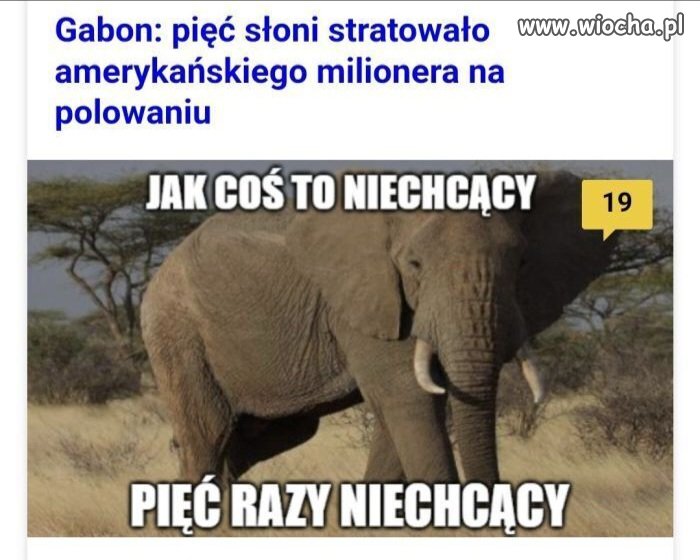 A mógł zostać zwyczajnie zastrzelony 