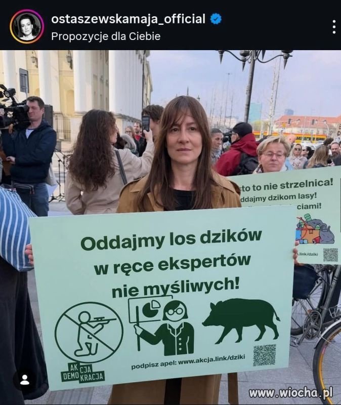 A kto jest tym ekspertem?