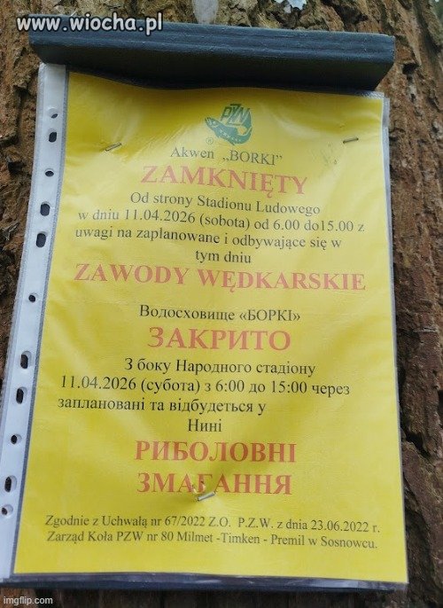 W Sosnowcu możesz poczuć się