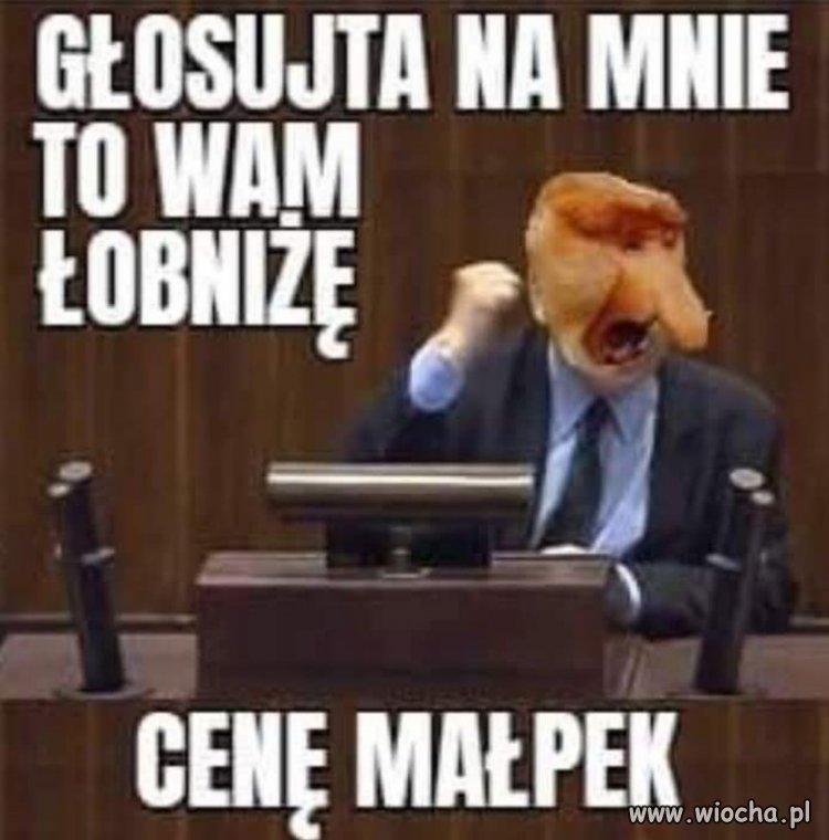 No i już wygrał wybory