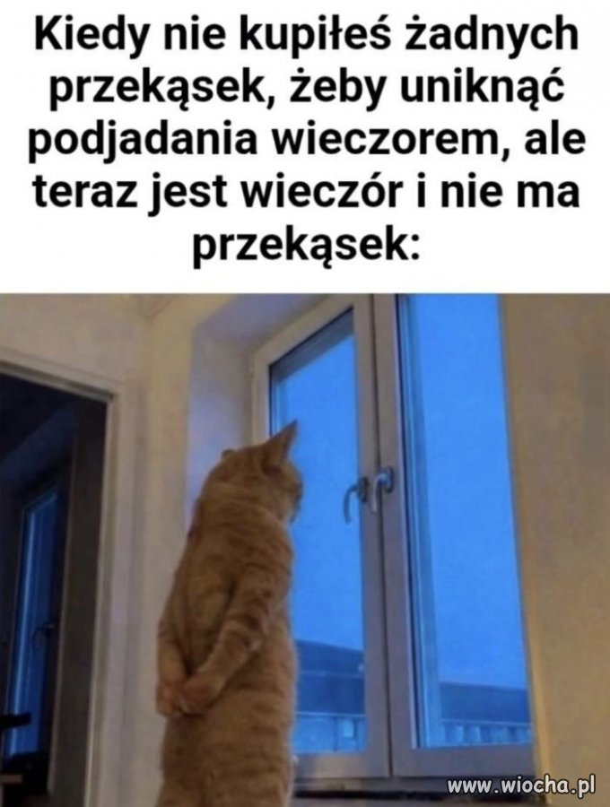 A mogła kupić 