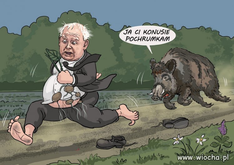 A wystarczyło zrobić chrum chrum ...