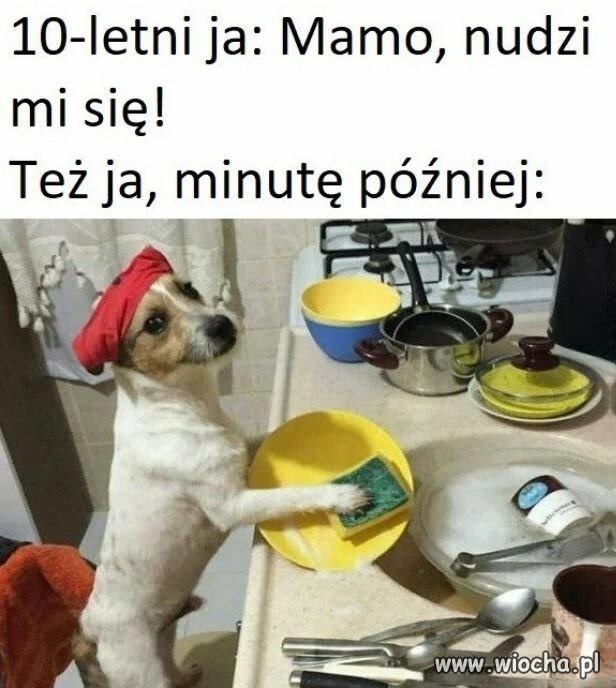 Zawsze było albo zmywanie