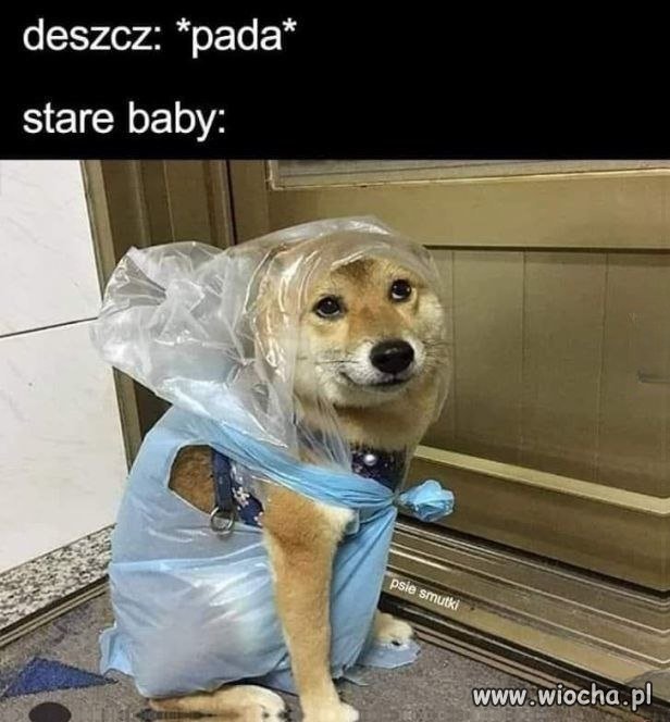 Nie ma co się śmiać