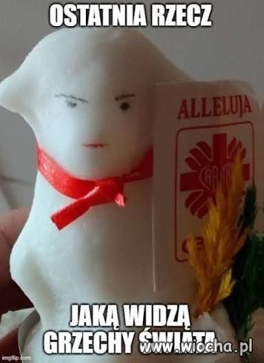 Baranek jest zły