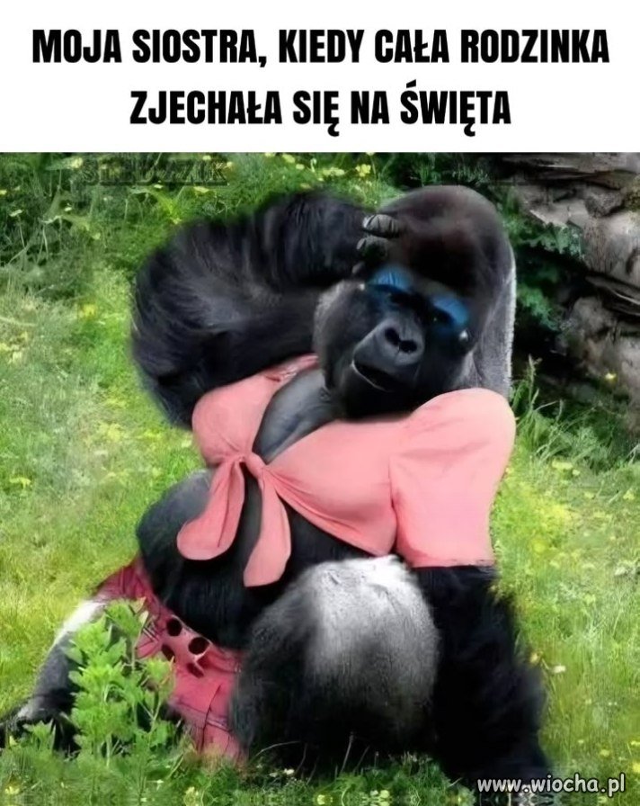 Outfit mojej siostry