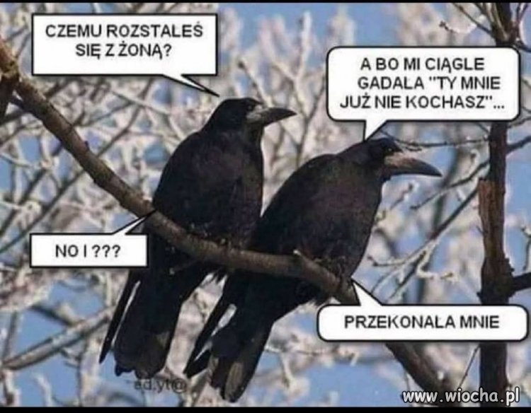 Ciągle gadała że jej nie kocha