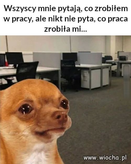 Prawdziwe oblicze pracy 