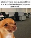 Prawdziwe oblicze pracy 