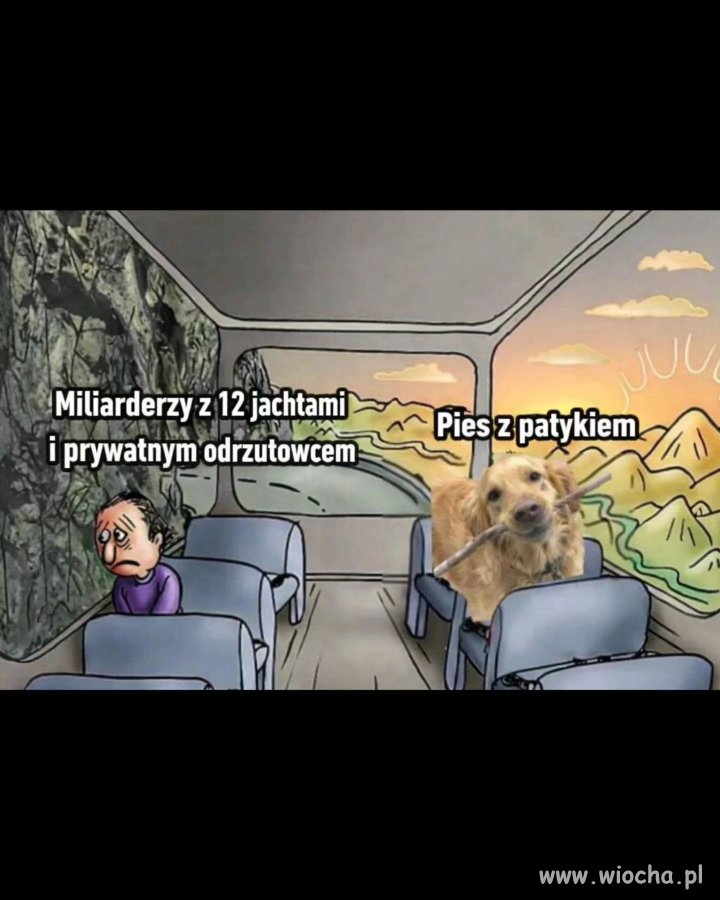 Pies z patykiem to najszczęśliwsza istota