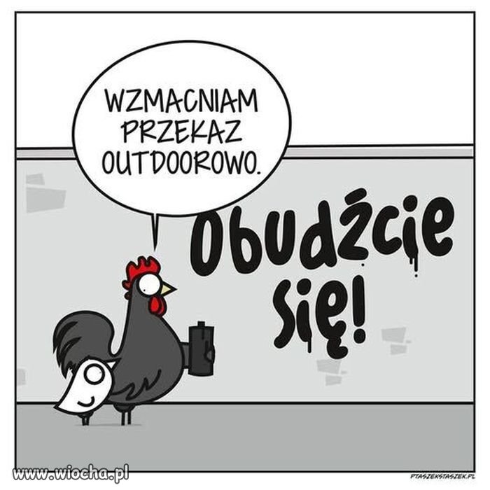 Kiedy zwykle kukuryku już nie wystarcza 