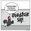 Kiedy zwykle kukuryku już nie wystarcza 