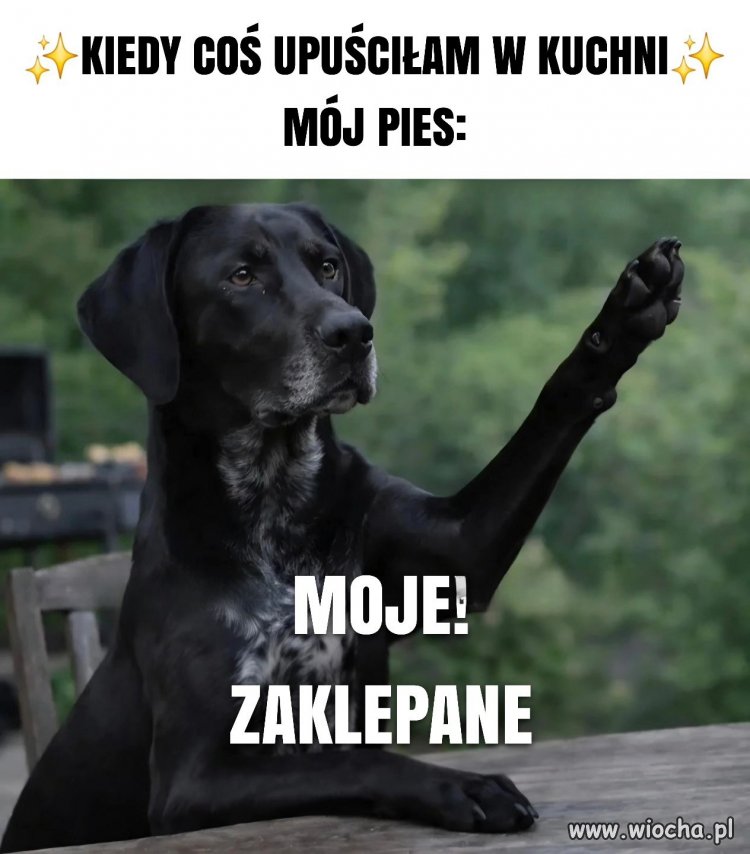 Moje! Zaklepane!