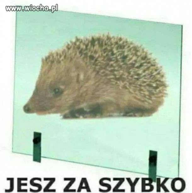 Mama: "nie jedz za szybko"