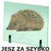 Mama: "nie jedz za szybko"