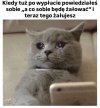 No trochę żałuję