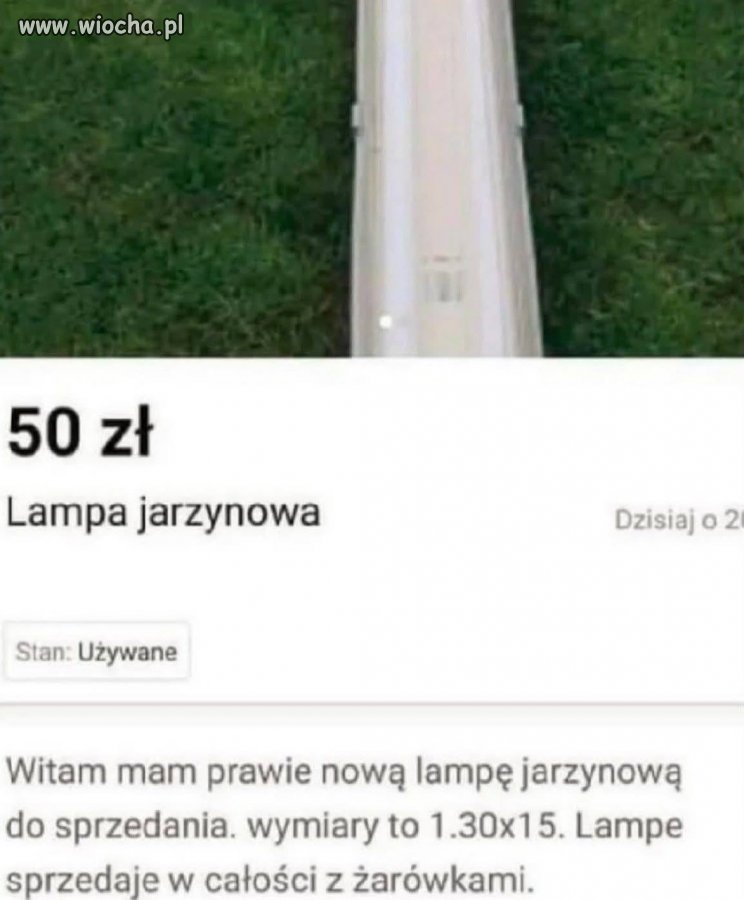 Witam mam lampę jarzynową