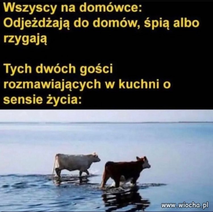 Typowa impreza