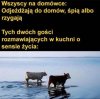 Typowa impreza