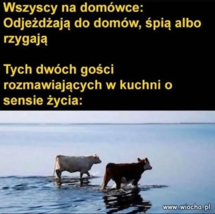 Typowa impreza