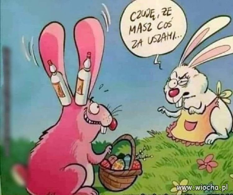 Czuję że masz coś za uszami