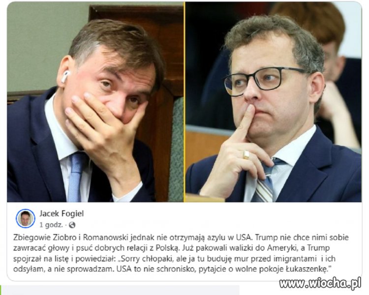  PIS-owskie bezdomne bidusie