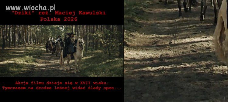 Film "Dziki" - Pierwszy w Polsce film formatu IMAX. 