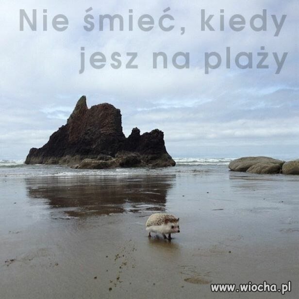 Ważne przypomnienie przed okresem urlopowym