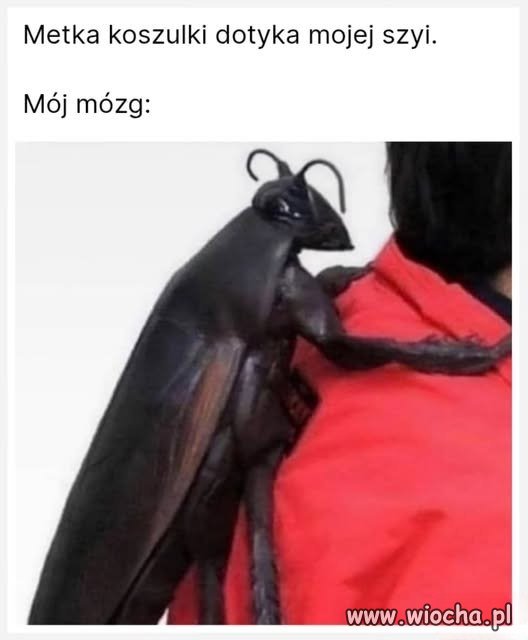 Metka dotyka mojej szyi