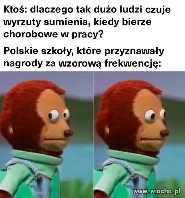 Czekajcie, czyli zostaliśmy tego nauczeni?