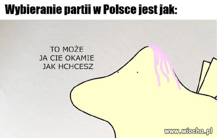 Którą partię wybrać?