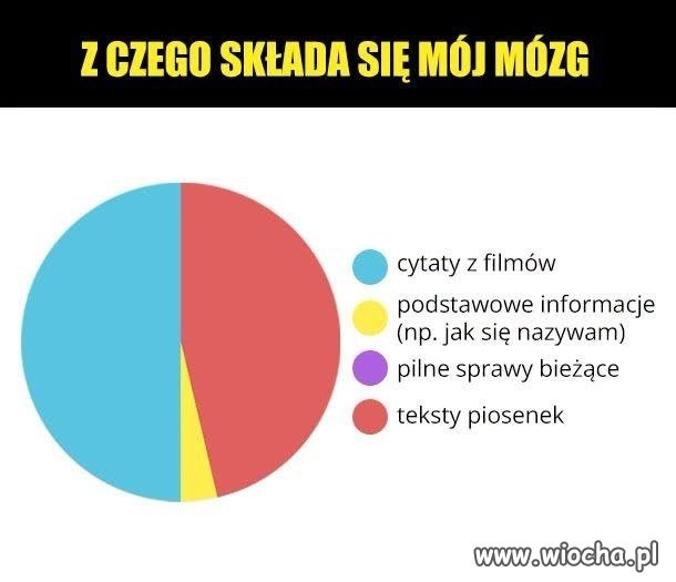 Teksty piosenek zajmują najwięcej miejsca