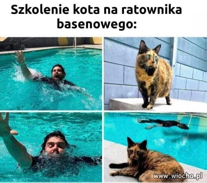 Nie będę siebie narażał