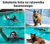 Nie będę siebie narażał