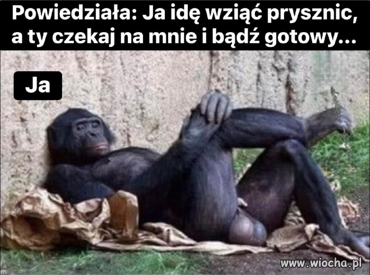 Bądź gotowy