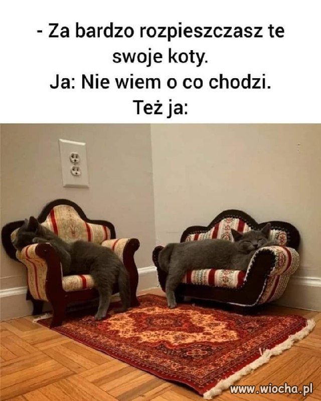 Pracuję po to