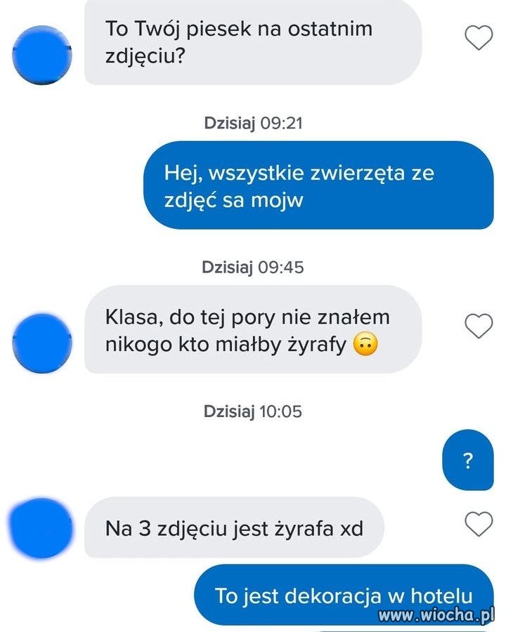 Klasa, nie znałem nikogo, kto miałby żyrafy